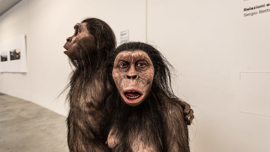 Giovanna Amoroso & Istvan Zimmermann: Australopithecines, 2016.