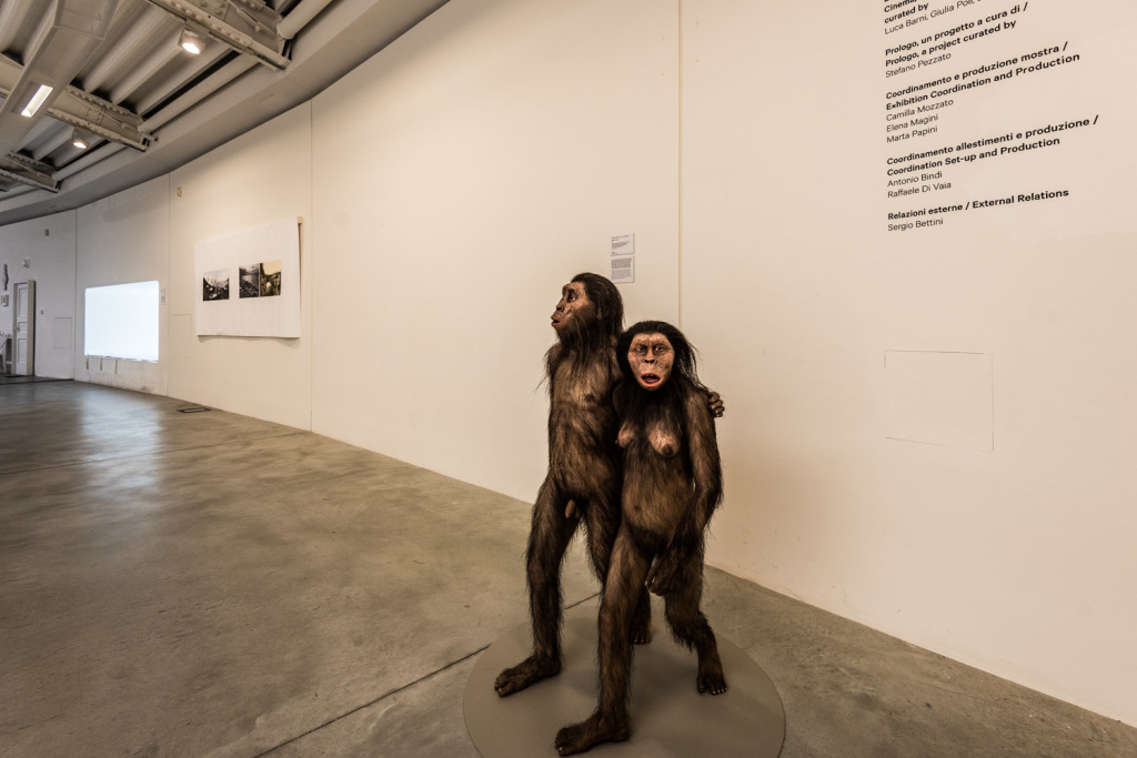 Giovanna Amoroso & Istvan Zimmermann: Australopithecines, 2016.
