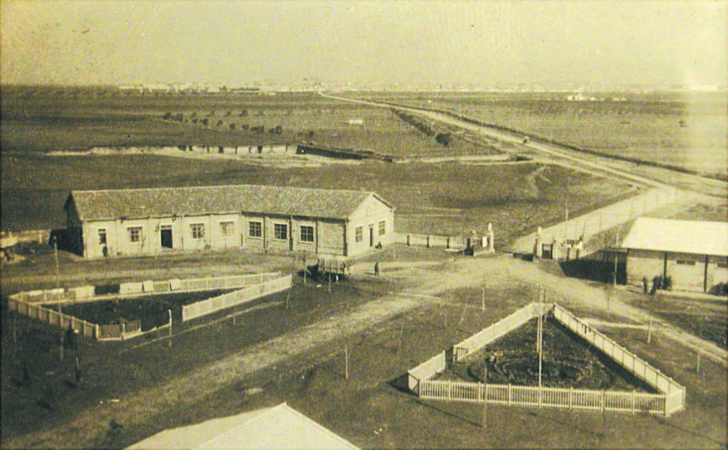 Campo Sud e sullo sfondo Foggia nel 1917-18