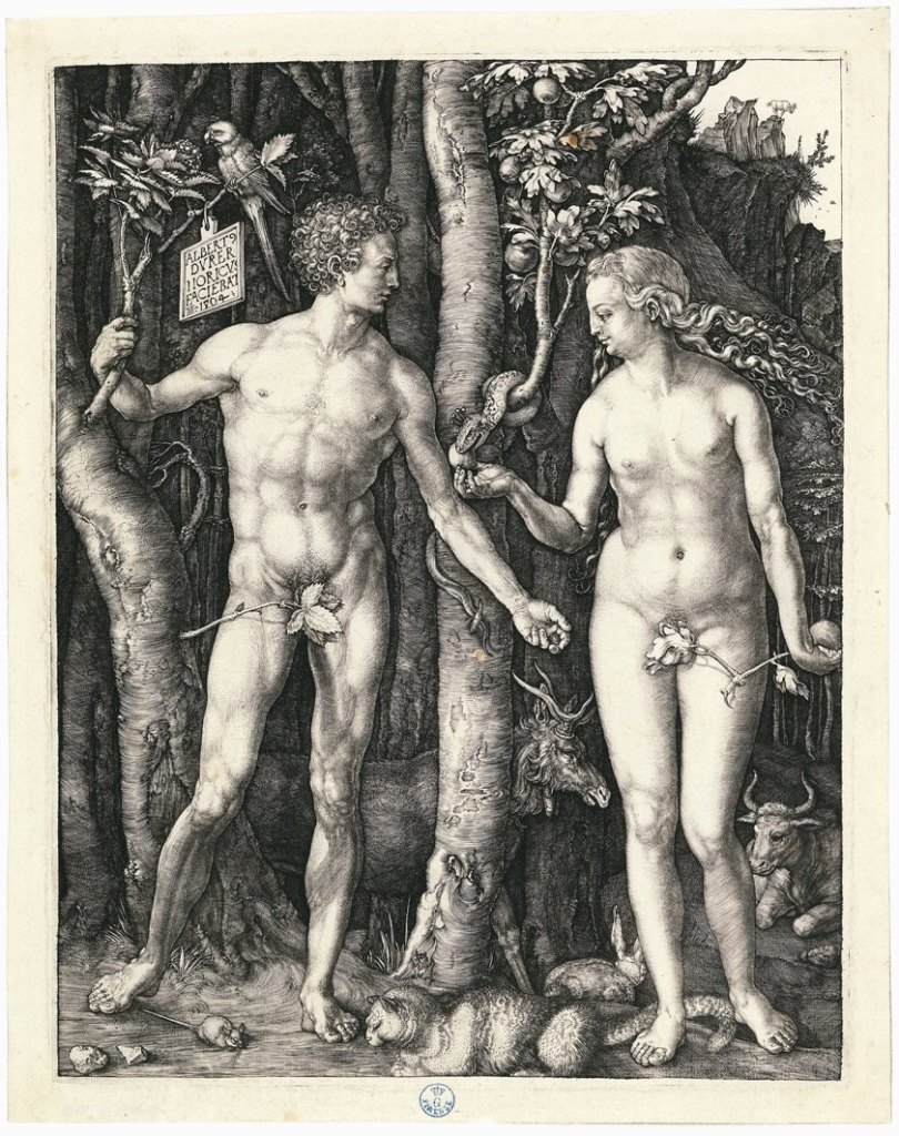 Albrecht Dürer (Norimberga 1471-1528) Adamo ed Eva 1504 Incisione a bulino Firenze, Gabinetto Disegni e Stampe degli Uffizi 